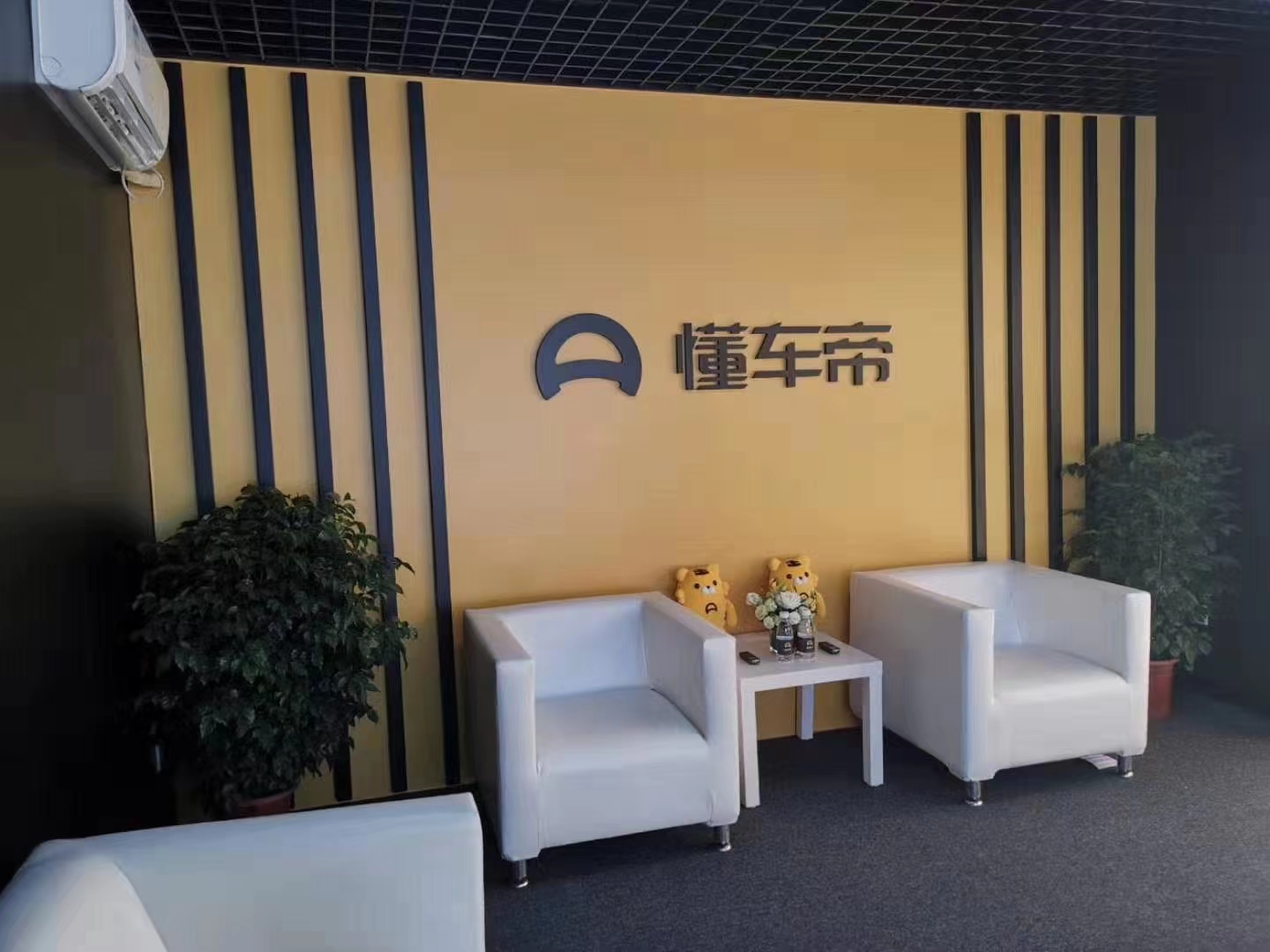 懂车帝展台